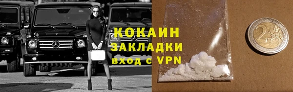 прущие грибы Краснотурьинск