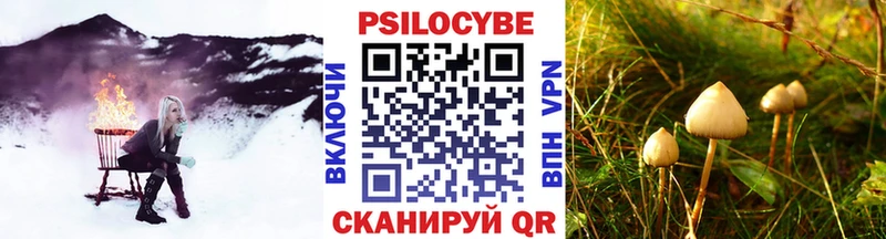 нарко площадка клад  ссылка на мегу ссылка  Северобайкальск  Псилоцибиновые грибы прущие грибы 