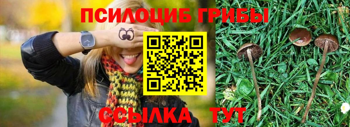 Галлюциногенные грибы Magic Shrooms Северобайкальск
